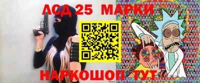 кокс Кингисепп