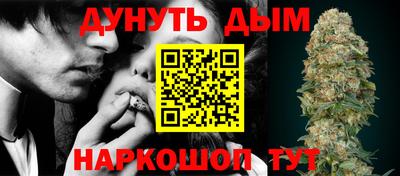 кокс Кингисепп