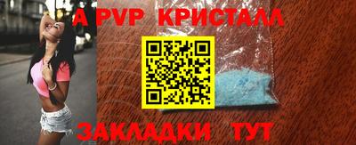 кокс Кингисепп