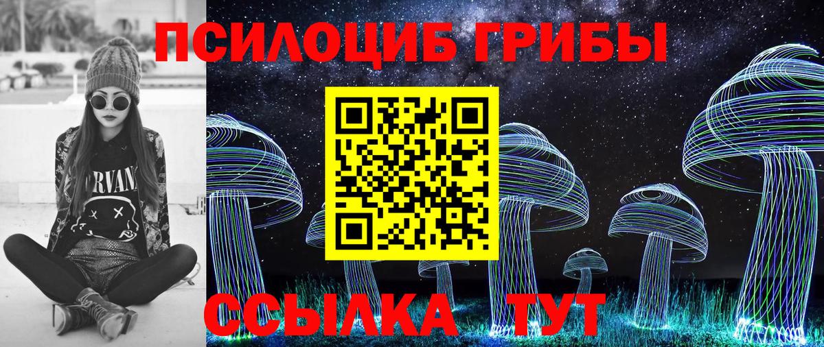 где можно купить наркотик  Вход с VPN  Вологда  Галлюциногенные грибы Cubensis 